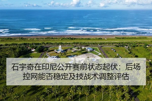 shi-yu-qi-zai-yin-ni-gong-kai-sai-qian-zhuang-tai-qi-fu-hou-chang-kong-wang-neng-fou-wen-ding-ji-ji-zhan-shu-tiao-zheng-2-748.jpg